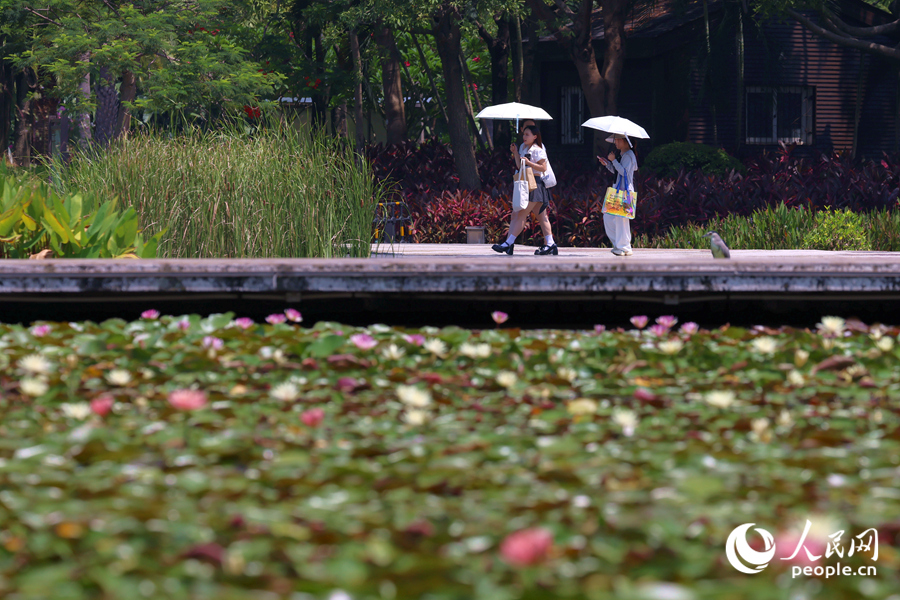 市民游客漫步于蓮池廊道。人民網(wǎng)記者 陳博攝